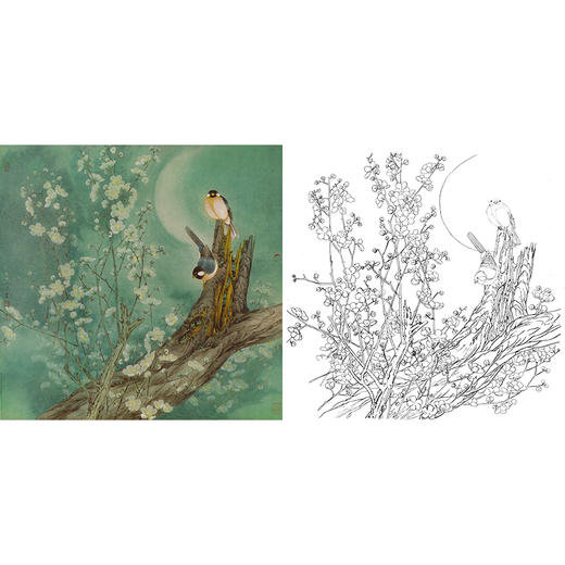 工笔花鸟白描底稿-曹小民-斗方小品册页-A475 商品图0