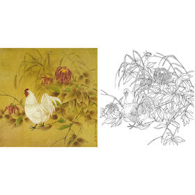 工笔花鸟白描底稿-曹小民-母鸡-斗方小品册页-A451