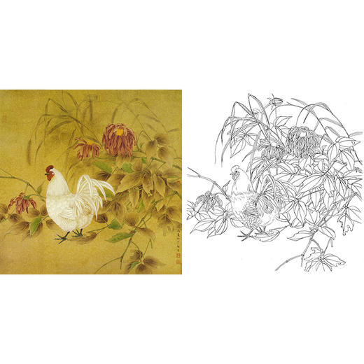工笔花鸟白描底稿-曹小民-母鸡-斗方小品册页-A451 商品图0