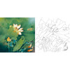 工笔花鸟白描底稿-荷花-斗方小品册页-A378 商品缩略图0