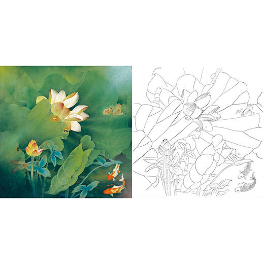 工笔花鸟白描底稿-荷花-斗方小品册页-A378 商品图0
