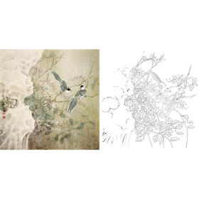 工笔花鸟白描底稿-斗方小品册页-A504