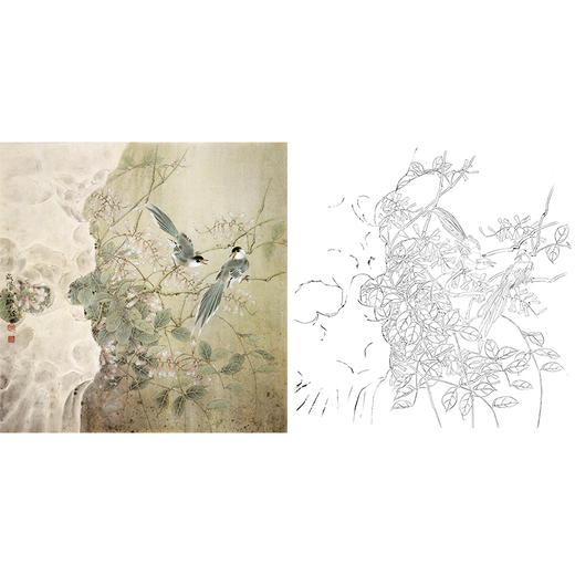 工笔花鸟白描底稿-斗方小品册页-A504 商品图0
