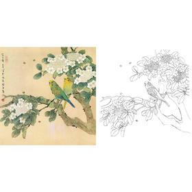 工笔花鸟白描底稿-喻继高-鹦鹉-斗方小品册页-A494