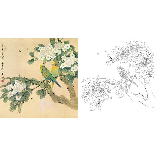 工笔花鸟白描底稿-喻继高-鹦鹉-斗方小品册页-A494 商品图0