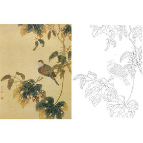 工笔花鸟白描底稿-陈之佛《桐枝栖鸠》-斗方小品册页-多种白描尺寸可选-A372