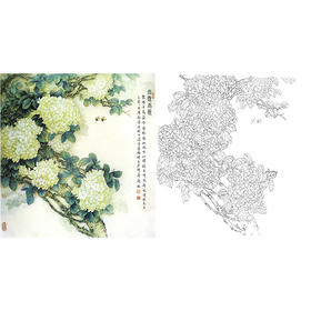 工笔花鸟白描底稿-王少卿-花卉绣球花-斗方小品册页-A331
