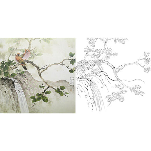 工笔花鸟白描底稿-斗方小品册页-A469 商品图0
