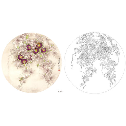 工笔花鸟白描底稿-梁燕生小品《西番莲》-多种白描尺寸可选-A414 商品图0