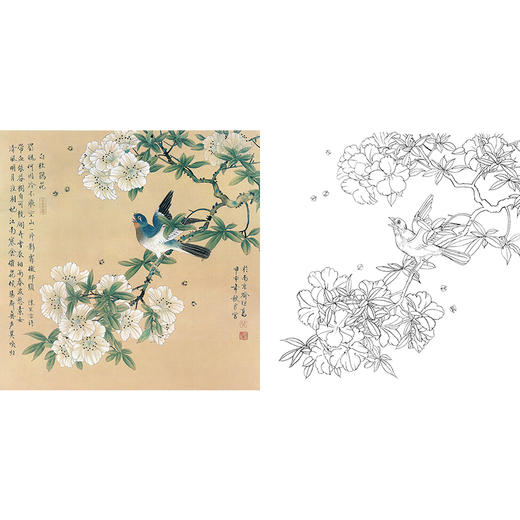 工笔花鸟白描底稿-喻继高-斗方小品册页-A498 商品图0
