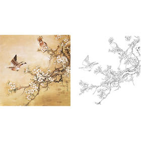 工笔花鸟白描底稿-张玉明-斗方小品册页-A502