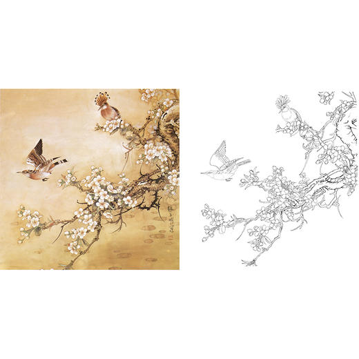 工笔花鸟白描底稿-张玉明-斗方小品册页-A502 商品图0