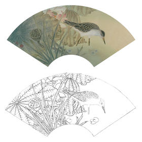 工笔花鸟白描底稿-荷花扇面小品-A343