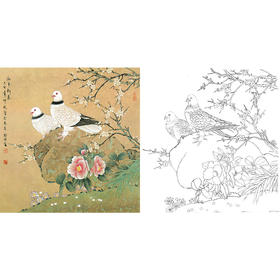 工笔花鸟白描底稿-喻继高-梅花山茶花鸽子-斗方小品册页-A429