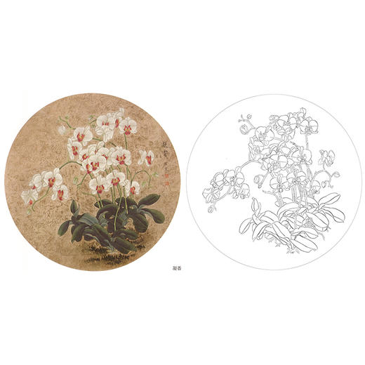 工笔花鸟白描底稿-梁燕生小品《凝香》-多种白描尺寸可选-A385 商品图0