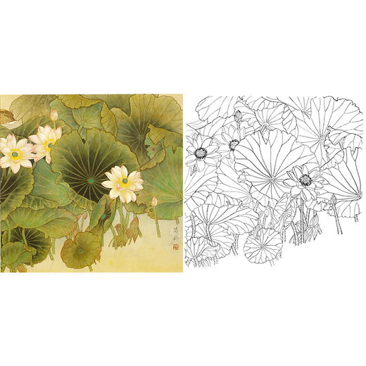 工笔花鸟白描底稿-荷花-斗方小品册页-A474 商品图0