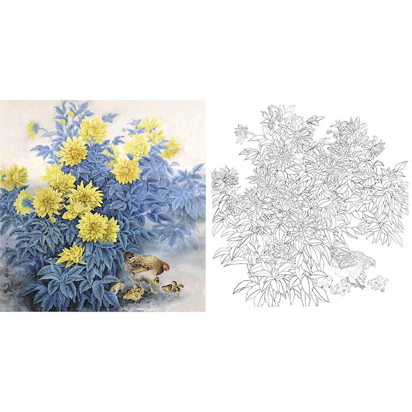 斗方小品白描底稿-工笔花鸟-母鸡a453