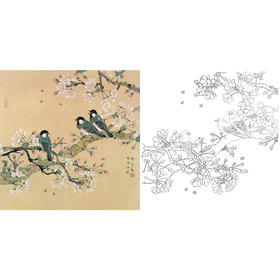 工笔花鸟白描底稿-喻继高-梨花-斗方小品册页-A496