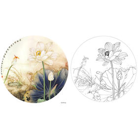 工笔花鸟白描底稿-王少卿-荷花小品-A394