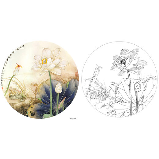 工笔花鸟白描底稿-王少卿-荷花小品-A394 商品图0