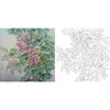 工笔花鸟白描底稿-孙锡之-葡萄-斗方小品册页-A449 商品缩略图0