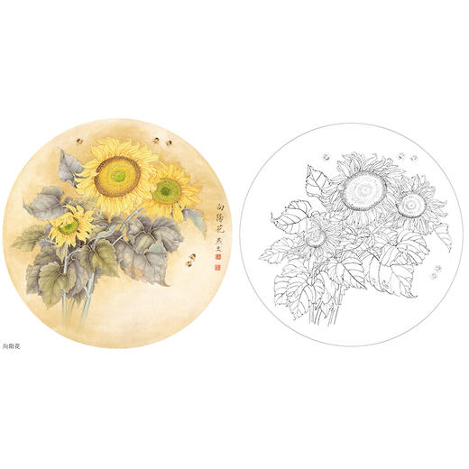工笔花鸟白描底稿-梁燕生-向日葵小品《向阳花》-多种白描尺寸可选-A401 商品图0