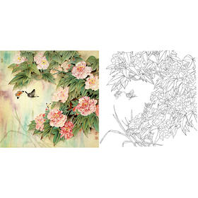 工笔花鸟白描底稿-斗方小品册页-A468