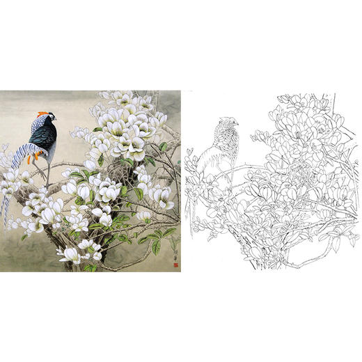 工笔花鸟白描底稿-锦鸡-斗方小品册页-A477 商品图0