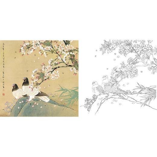工笔花鸟白描底稿-喻继高-鸽子-斗方小品册页-A490 商品图0