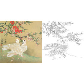工笔花鸟白描底稿-喻继高-鸽子-斗方小品册页-A434