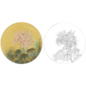 工笔花鸟白描底稿-花卉-菊花小品-A389