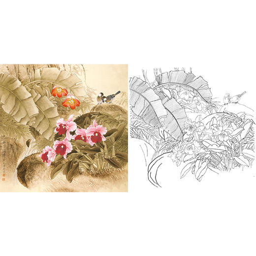 梁燕生工笔花鸟白描底稿《幽芳溢远》-斗方小品册页-多种白描尺寸可选-A483 商品图0