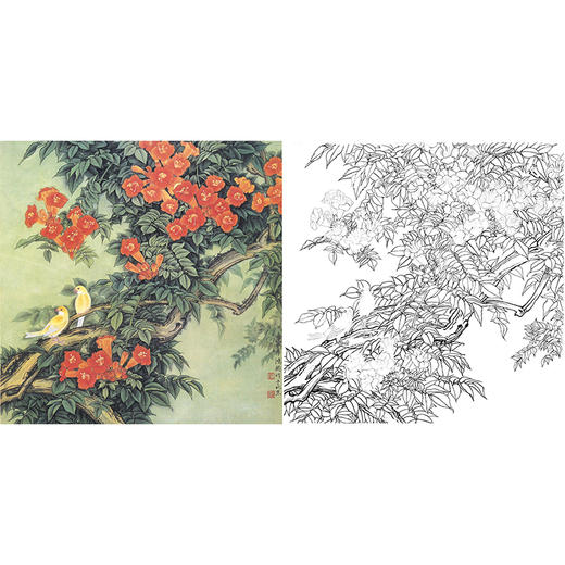 工笔花鸟白描底稿-金鸿钧《暖风》-斗方小品册页-多种白描尺寸可选-A472 商品图0
