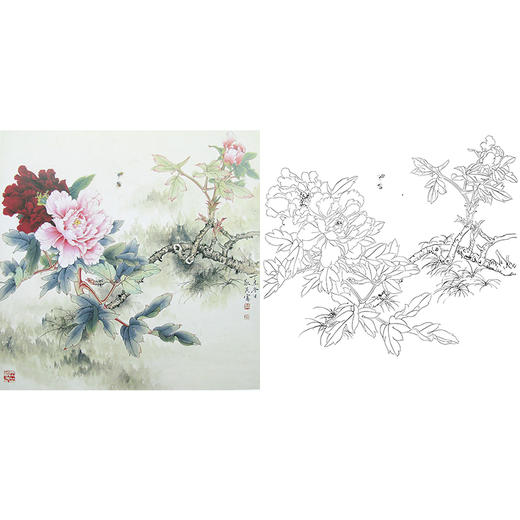 工笔花鸟白描底稿-牡丹-斗方小品册页-A471 商品图0