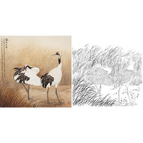 工笔花鸟白描底稿-张克齐-仙鹤-斗方小品册页-A439