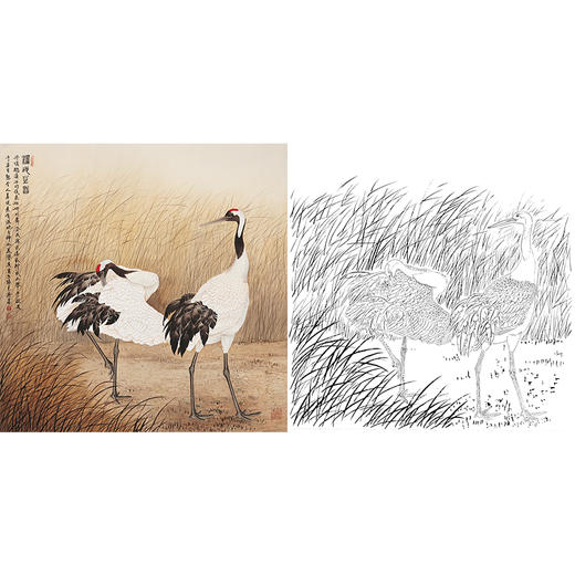 工笔花鸟白描底稿-张克齐-仙鹤-斗方小品册页-A439 商品图0