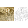 工笔花鸟白描底稿-荷花-斗方小品册页-A441 商品缩略图0