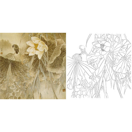 工笔花鸟白描底稿-荷花-斗方小品册页-A441 商品图0