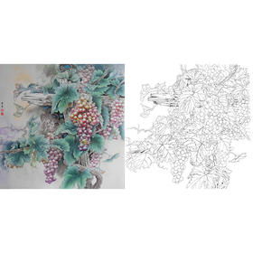 工笔花鸟白描底稿-孙锡之-葡萄-斗方小品册页-A446