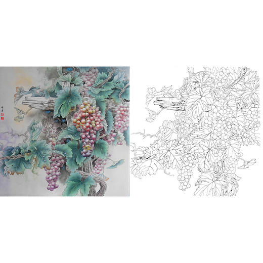 工笔花鸟白描底稿-孙锡之-葡萄-斗方小品册页-A446 商品图0