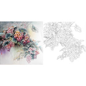 工笔花鸟白描底稿-孙锡之-葡萄-斗方小品册页-A448