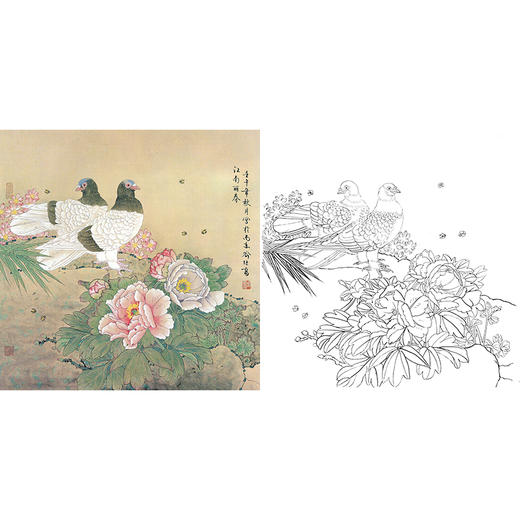 工笔花鸟白描底稿-喻继高-鸽子牡丹-斗方小品册页-A492 商品图0