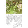 工笔花鸟白描底稿-周中耀-樱花-斗方小品册页-A517 商品缩略图0
