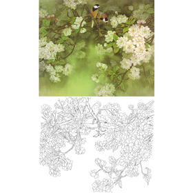 工笔花鸟白描底稿-周中耀-樱花-斗方小品册页-A517