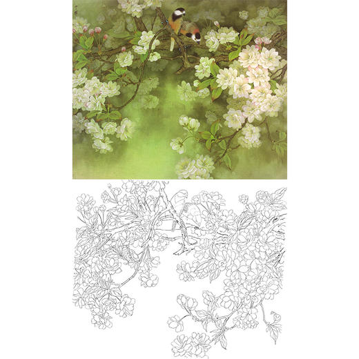 工笔花鸟白描底稿周中耀樱花斗方小品册页a517