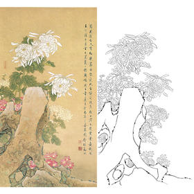 竖幅工笔花鸟白描底稿-喻继高-菊花-A533