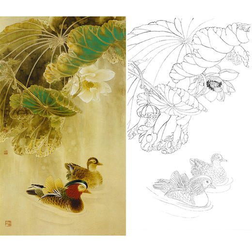 竖幅工笔花鸟白描底稿-荷花鸳鸯-A541 商品图0