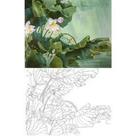 工笔花鸟白描底稿-周中耀-荷花-斗方小品册页-A516