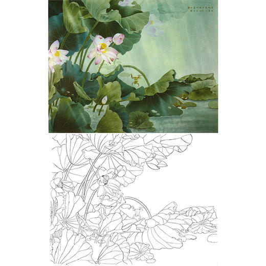 工笔花鸟白描底稿-周中耀-荷花-斗方小品册页-A516 商品图0