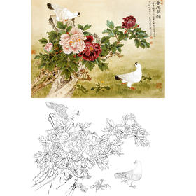 工笔花鸟白描底稿-俞致贞-牡丹鸽子《春光明媚》-斗方小品册页-多种白描尺寸可选-A511